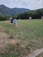 IMG-e22b66978ae01ea8e8930ec2ce49b88e-V.jpg