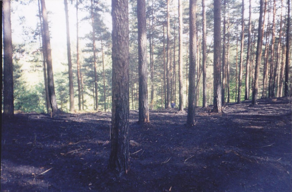 Gozdni požar - Kolovec, 07.05.2003
