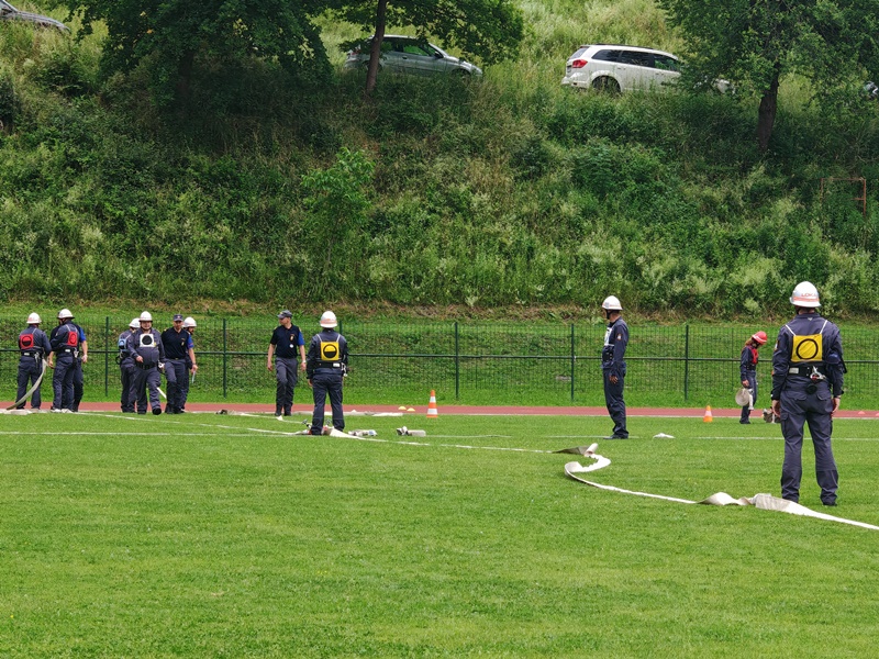 IMG_20250608_090246.jpg