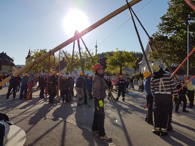 Postavljanje_mlaja2C_29__4__2016_287929.jpg