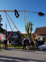 Postavljanje_mlaja2C_29__4__2016_287629.jpg